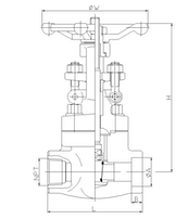 Art. 20S forged steel gate valves