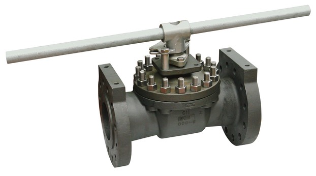 Serie CS Flanged